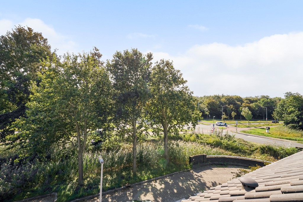 Zandzeggelaan 199_59.jpg